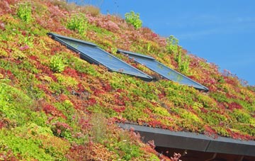 Old Thirsk living roof systems