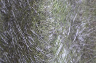 Old Thirsk fibreglass roof work